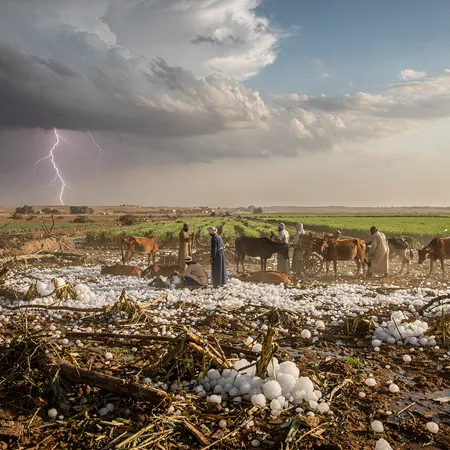 AI illustration: The Fifth, Sixth and Seventh Plagues: Livestock, Boils and Hail